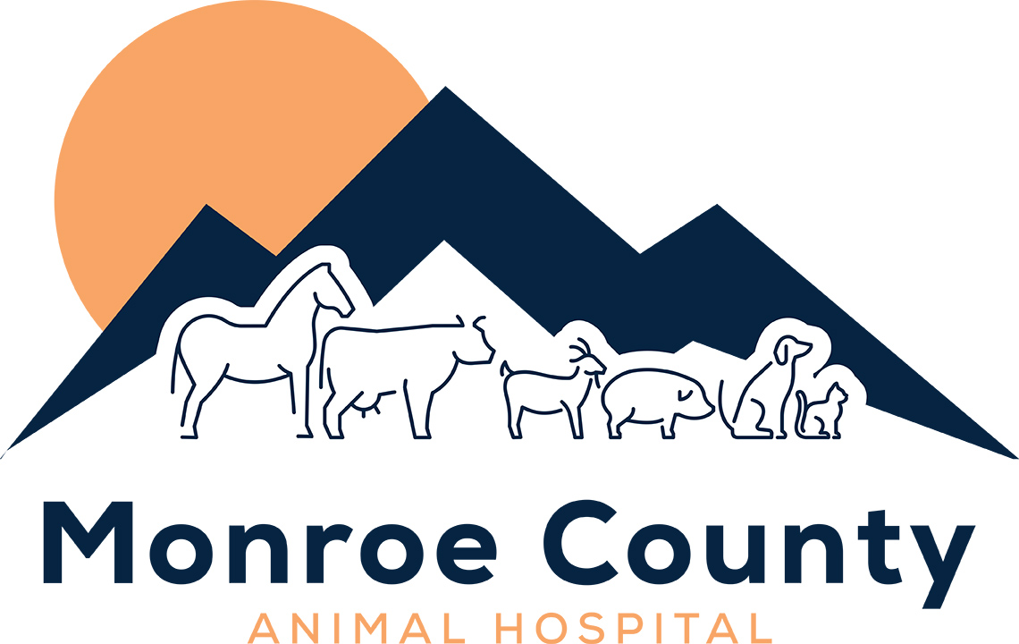 Monroe County Animal Hospital