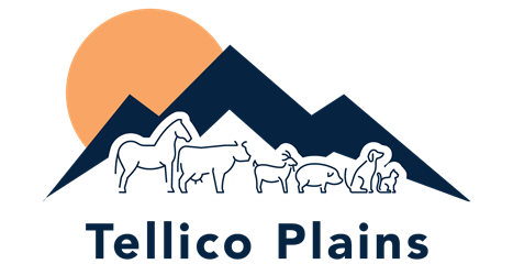 Tellico Plains Clinic Logo