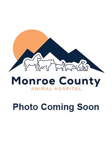 Placeholder Coming Soon